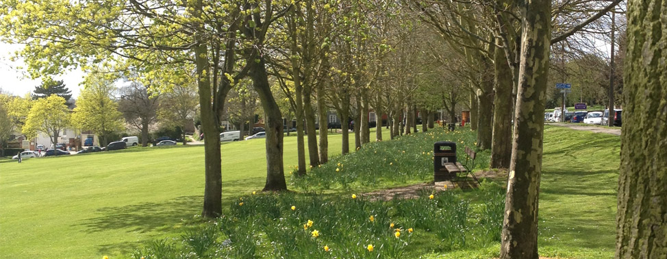 Saffron Shops - Springtime